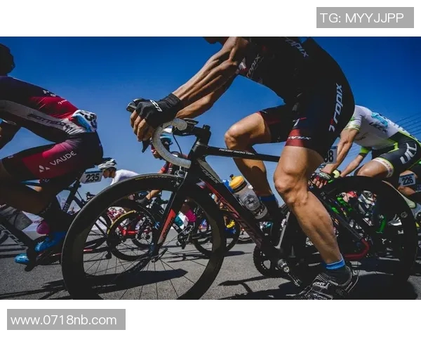 广州网球队在城市联赛积分榜上以65分稳居第一名展现强劲实力